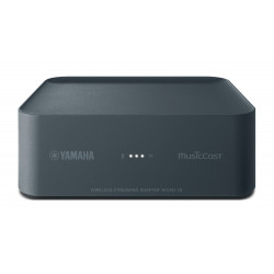 Accessoires Hi-Fi / Home cinéma YAMAHA WXAD10