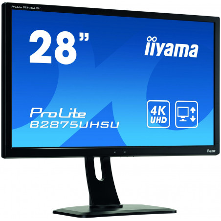 Moniteur PC IIYAMA B2875UHSU-B1