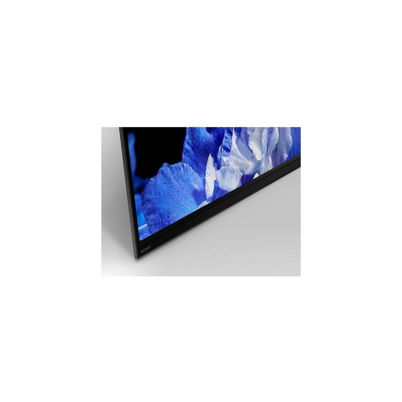 Télévision SONY KD65AF8BAEP