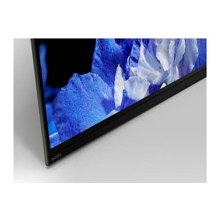 Télévision SONY KD65AF8BAEP