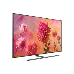 Télévision SAMSUNG QE65Q9FN2018