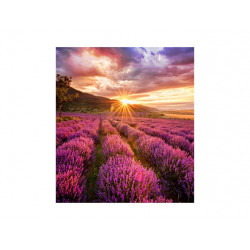Moniteurs LED/OLED SAMSUNG IF020H
