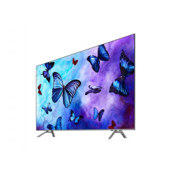 Télévision SAMSUNG QE65Q6FN2018