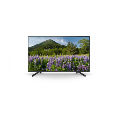 Télévision SONY KD-65XF7096