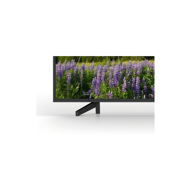 Télévision SONY KD-65XF7096