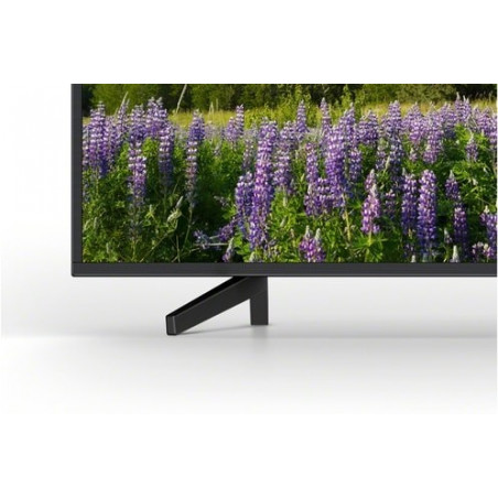 Télévision SONY KD-65XF7096