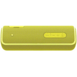Bluetooth / Sans fil SONY SRSXB21Y