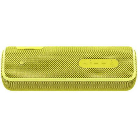 Bluetooth / Sans fil SONY SRSXB21Y