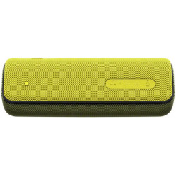 Bluetooth / Sans fil SONY SRSXB31Y