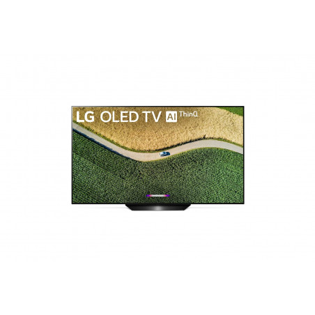 Télévision LG OLED65B9