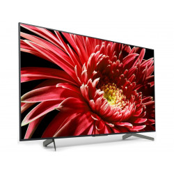 Télévision SONY KD65XG8596BAEP