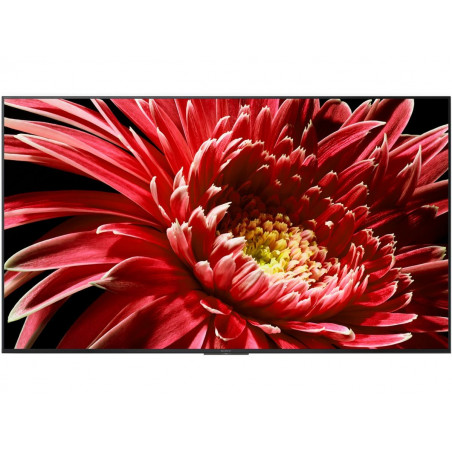 Télévision SONY KD65XG8596BAEP