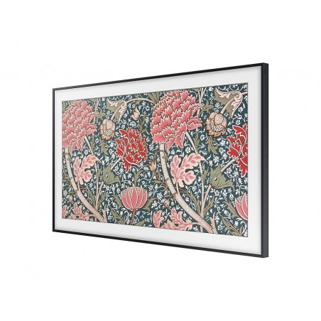 Télévision SAMSUNG QE65LS03R