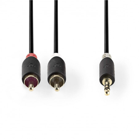 Câbles audio NEDIS CABW22200AT10