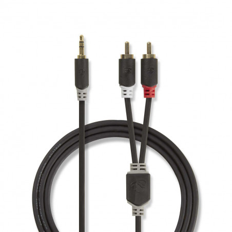 Câbles audio NEDIS CABW22200AT30