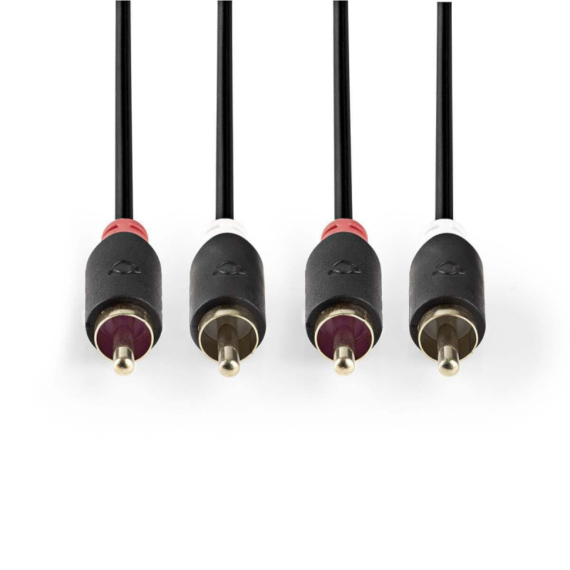 Câbles audio NEDIS CABP24200AT10