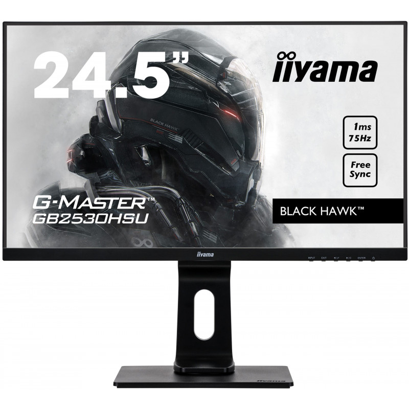 Moniteur PC IIYAMA GB2530HSU-B1