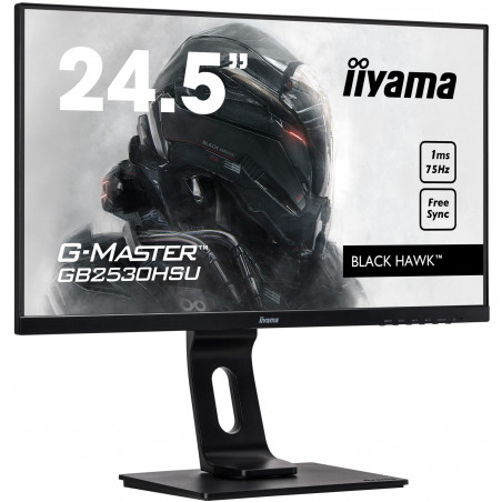 Moniteur PC IIYAMA GB2530HSU-B1