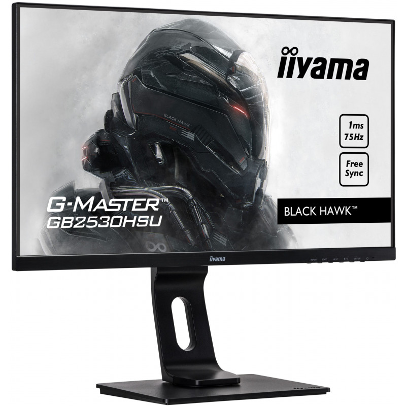 Moniteur PC IIYAMA GB2530HSU-B1