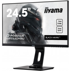 Moniteur PC IIYAMA GB2530HSU-B1