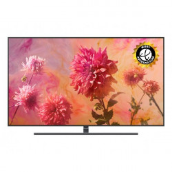 Télévision SAMSUNG QE65Q9FN2018