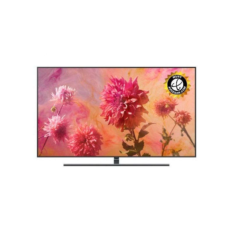 Télévision SAMSUNG QE65Q9FN2018