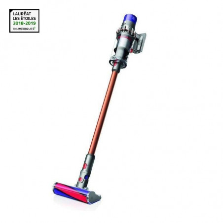 Aspirateur DYSON V10 ABSOLUTE