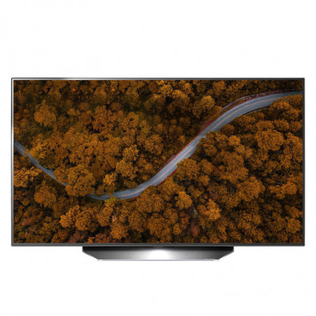 Télévision LG OLED48CX6