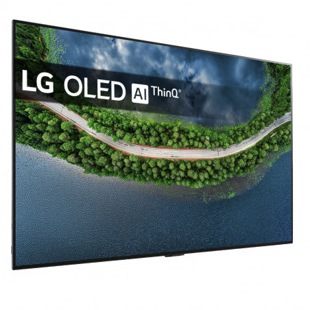 Télévision LG OLED65GX6