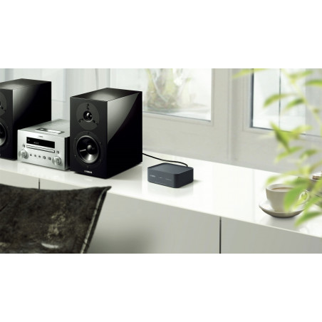 Accessoires Hi-Fi / Home cinéma YAMAHA WXAD10