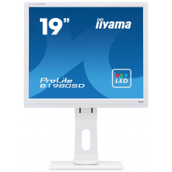 Moniteur PC IIYAMA B1980SD-W1