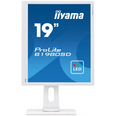 Moniteur PC IIYAMA B1980SD-W1