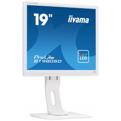 Moniteur PC IIYAMA B1980SD-W1