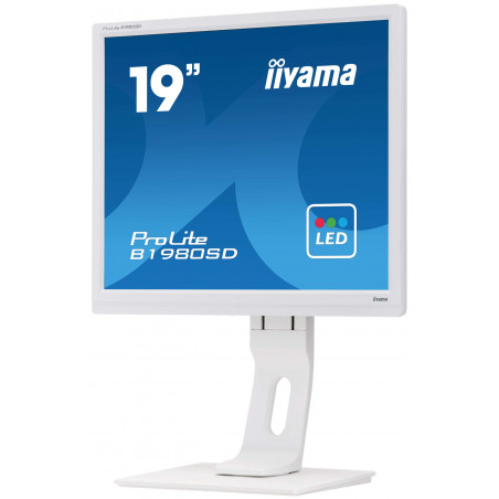 Moniteur PC IIYAMA B1980SD-W1