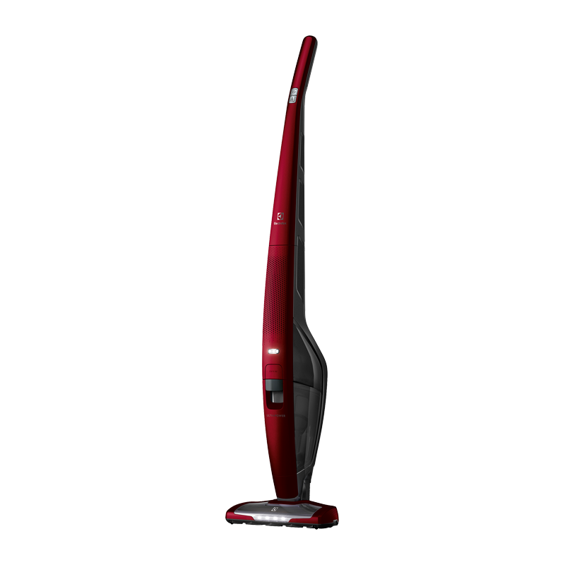 Aspirateur ELECTROLUX EUP82WRM