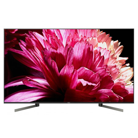 Télévision SONY KD55XG9505BAEP