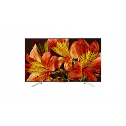 Télévision SONY KD55XF8596BAEP