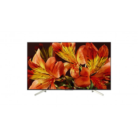 Télévision SONY KD55XF8596BAEP
