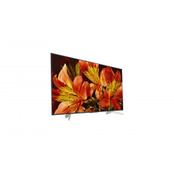 Télévision SONY KD55XF8596BAEP
