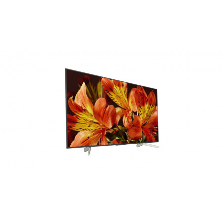 Télévision SONY KD55XF8596BAEP