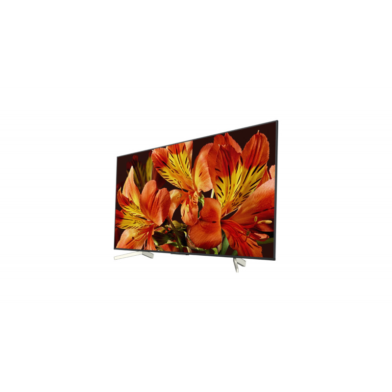 Télévision SONY KD55XF8596BAEP