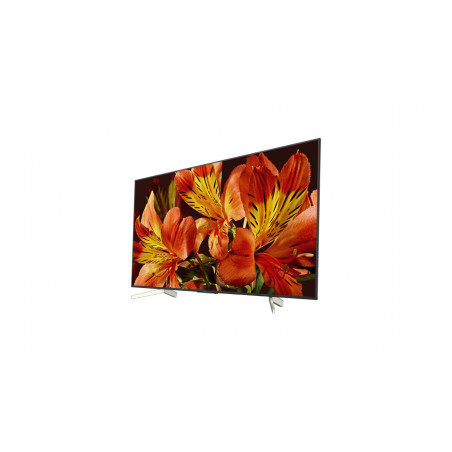 Télévision SONY KD55XF8596BAEP