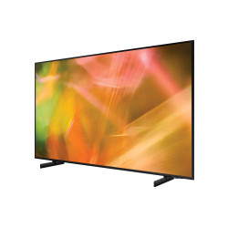 Télévision SAMSUNG UE55AU8075U