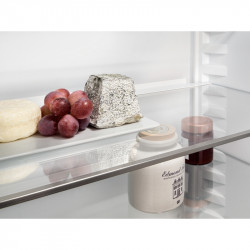 Réfrigérateur congélateur LIEBHERR ICE5103-20