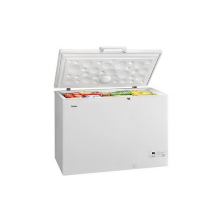 Congélateur HAIER HCE319R