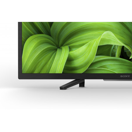 Télévision SONY KD32W800P