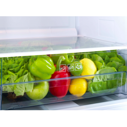Réfrigérateur BEKO TSE1403FN
