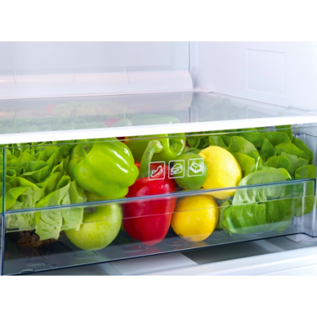 Réfrigérateur BEKO TSE1403FN