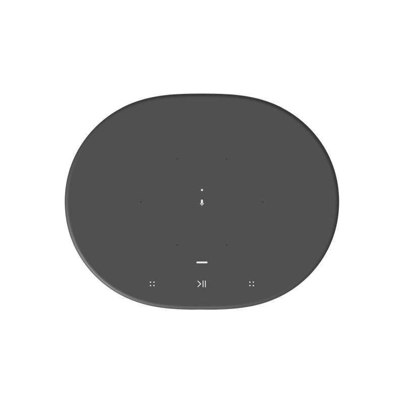 Bluetooth / Sans fil SONOS MOVE NOIR