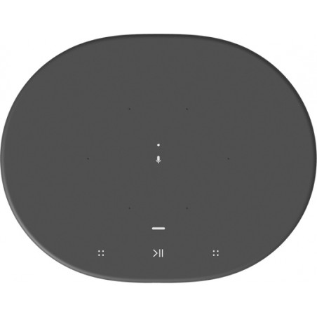 Bluetooth / Sans fil SONOS MOVE NOIR